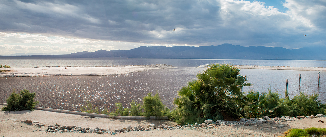 Salton Sea North Shore in Riverside County