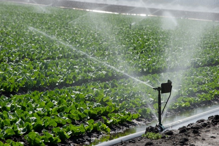 Irrigation on lettuce crops in Monterey, California. Contact climatechange@water.ca.gov for more information.