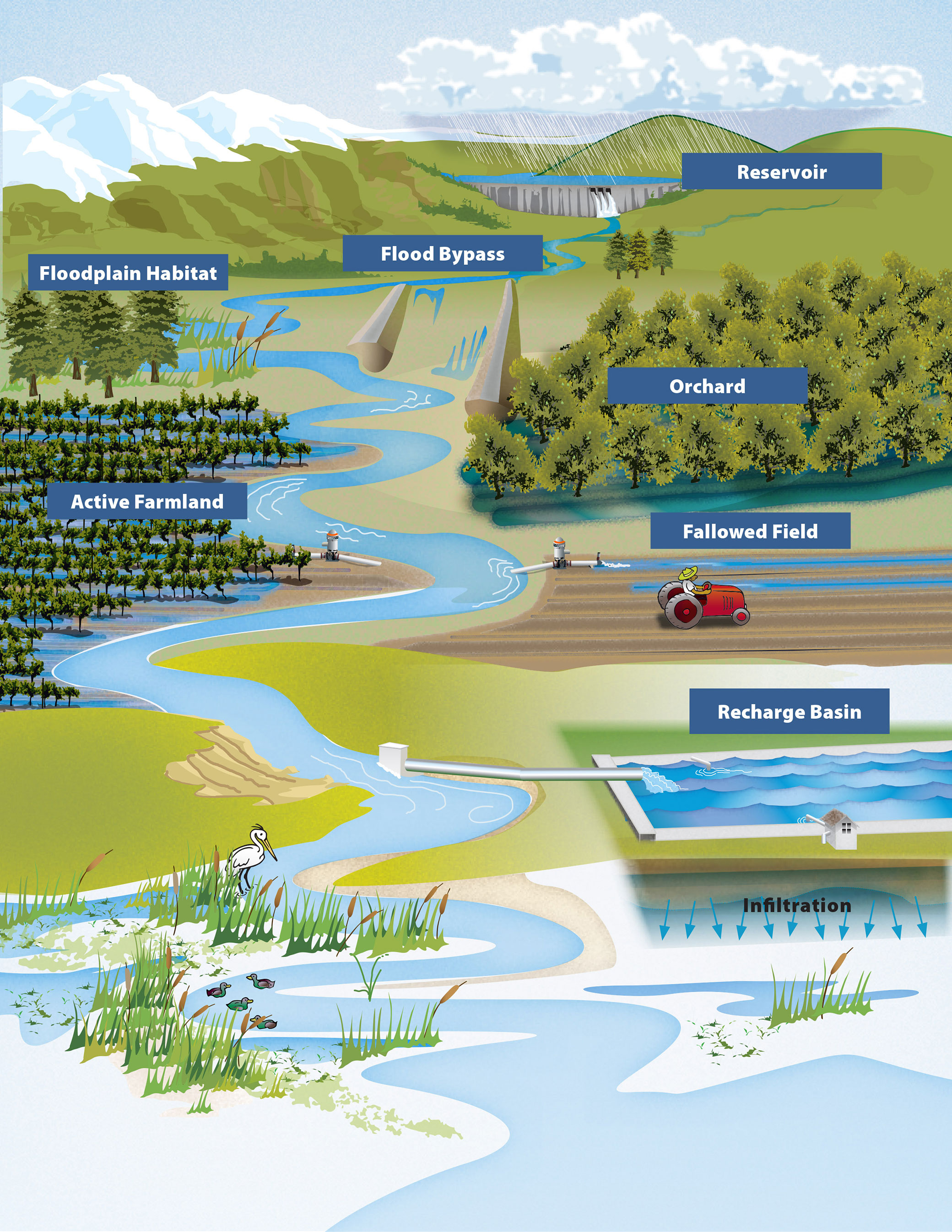 Flood - MAR illustrated concept of aquifer recharge.